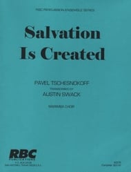 Salvation is Created Percussion Ensemble cover